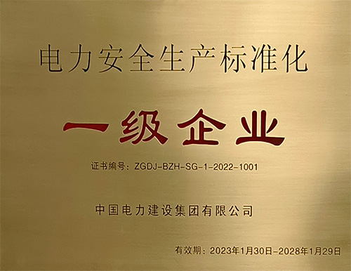 电力安全生产标准化一级企业
