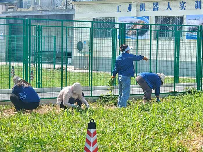 拔草2.jpg